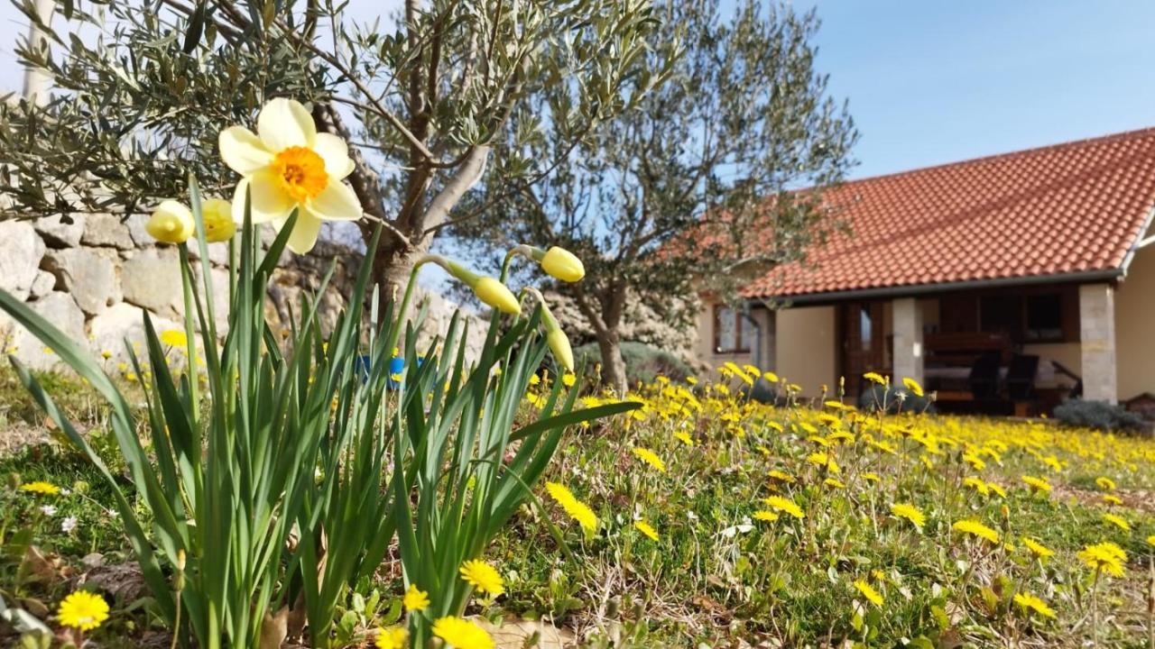 Holiday House Green Dream Obrovac Eksteriør billede